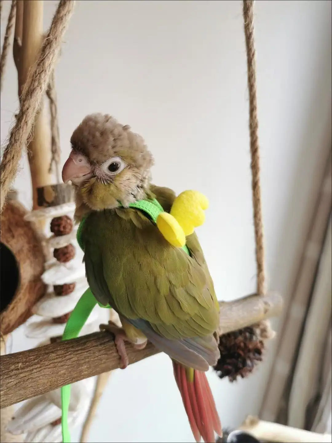 앵무새 Adjustable Parrot Bird Harness Leash Set Training Harness Parrots Outdoor Flying Rope Cockatiel Small Birds Supplie