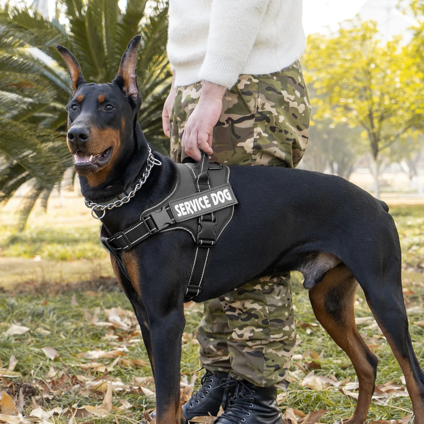 Pettorina dog harness custom name tag doberman pinscher breathable adjustable pet harness suitable for medium and large dogs