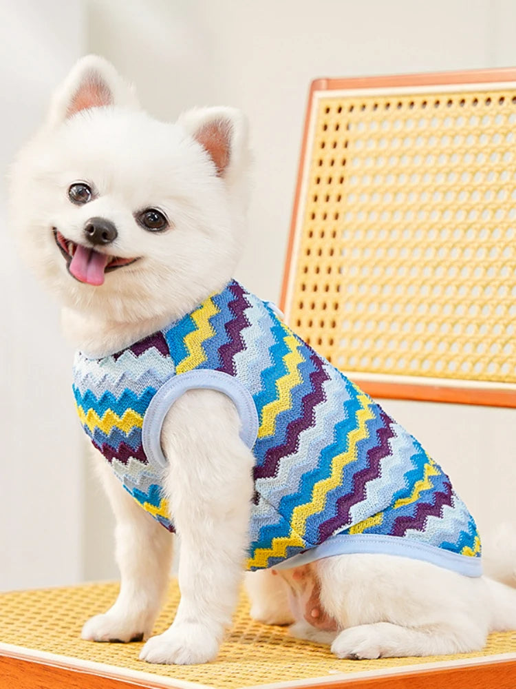 Vestiti Pet Cat Clothes Breathable Kitty Clothing Dogs Soft Vests Summer Shirt Casual T-Shirt for Small Pet Costume Supplies Wholesale