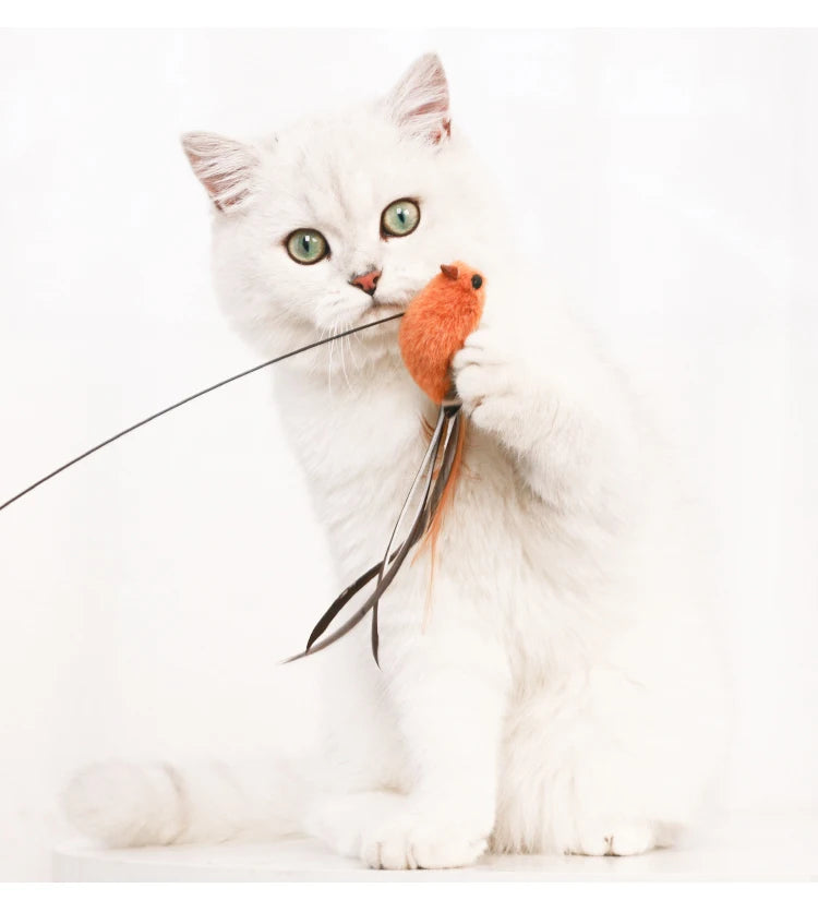 Simulation Bird Interactive Cat Toys Funny Feather Bird with Bell Cat Stick Toy for Kitten Playing Teaser Wand Toys Cat Supplies