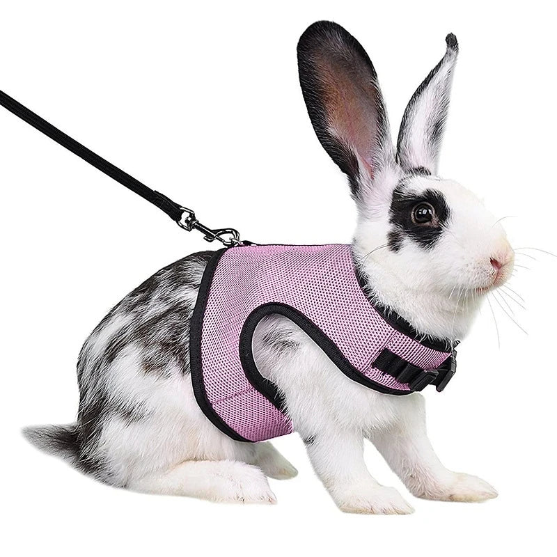 03-Imbracatura con guinzaglio Set per conigli Gilet traspirante per animali domestici.