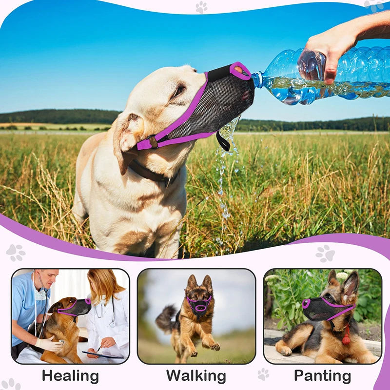 Pet Dog Mouth Cover Muzzle Anti-Munching Muzzle Anti-Barking Anti-Biting Breathable Mesh Special Anti-Licking Mouth