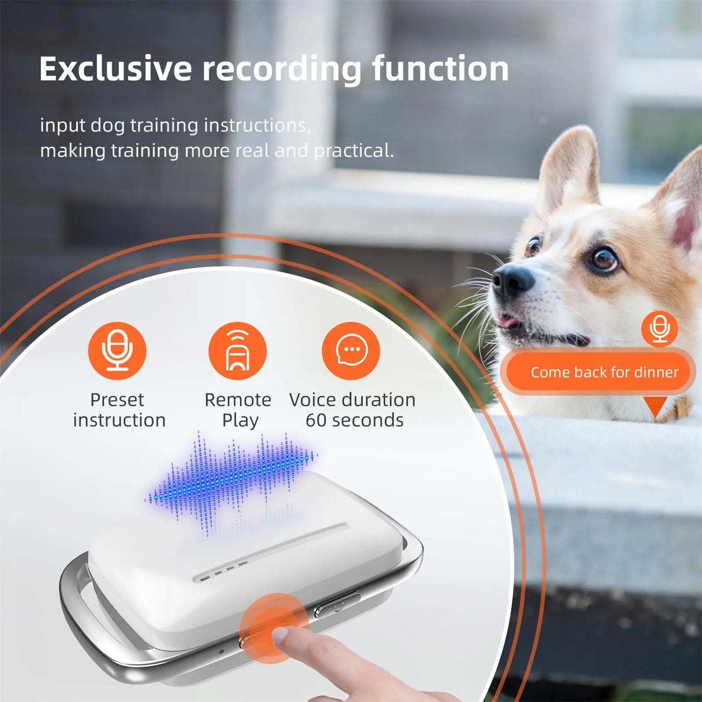 Dog Bark Collar Rechargeable Electric Training Collar 1000M Remote Control LED Light for 8-100lbs Small Medium Large Dogs