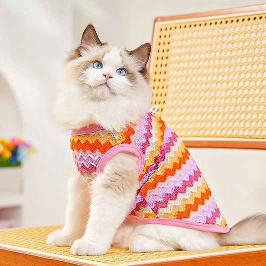 Vestiti Pet Cat Clothes Breathable Kitty Clothing Dogs Soft Vests Summer Shirt Casual T-Shirt for Small Pet Costume Supplies Wholesale