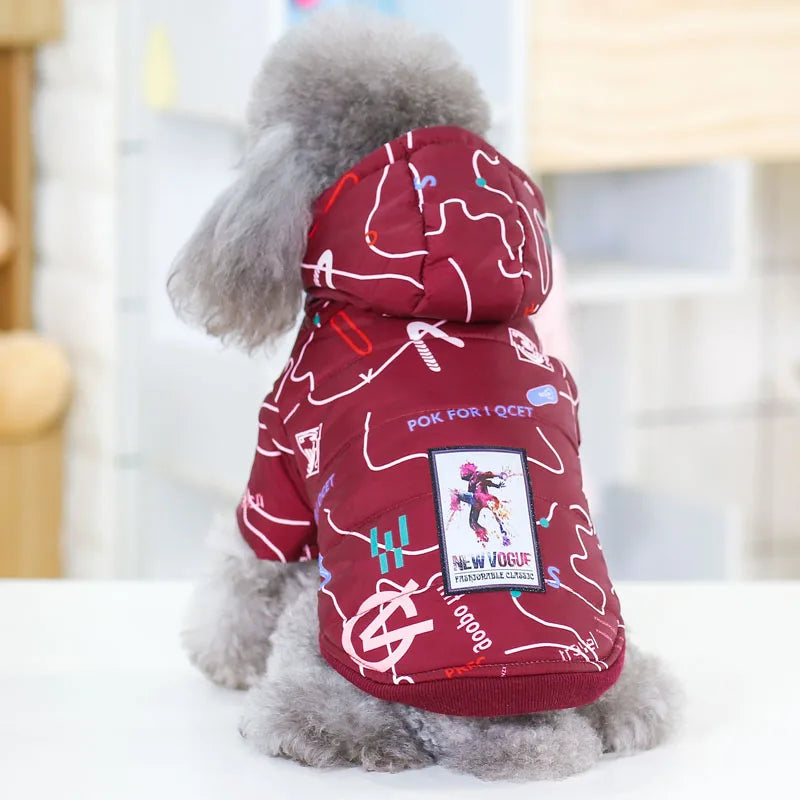 07-Abbigliamento per cani di piccola taglia.