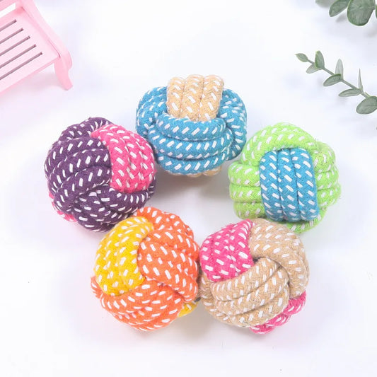 04-Gioco interattivo pet Toys.