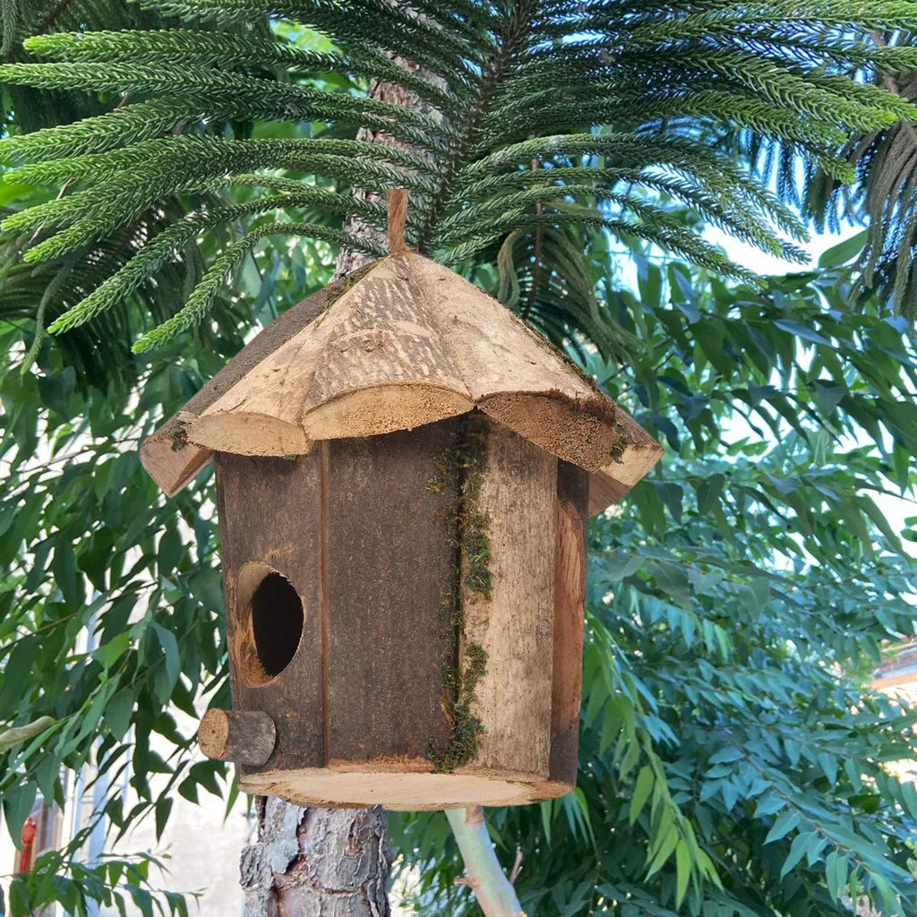 Mini casa per colibrì artigianale.