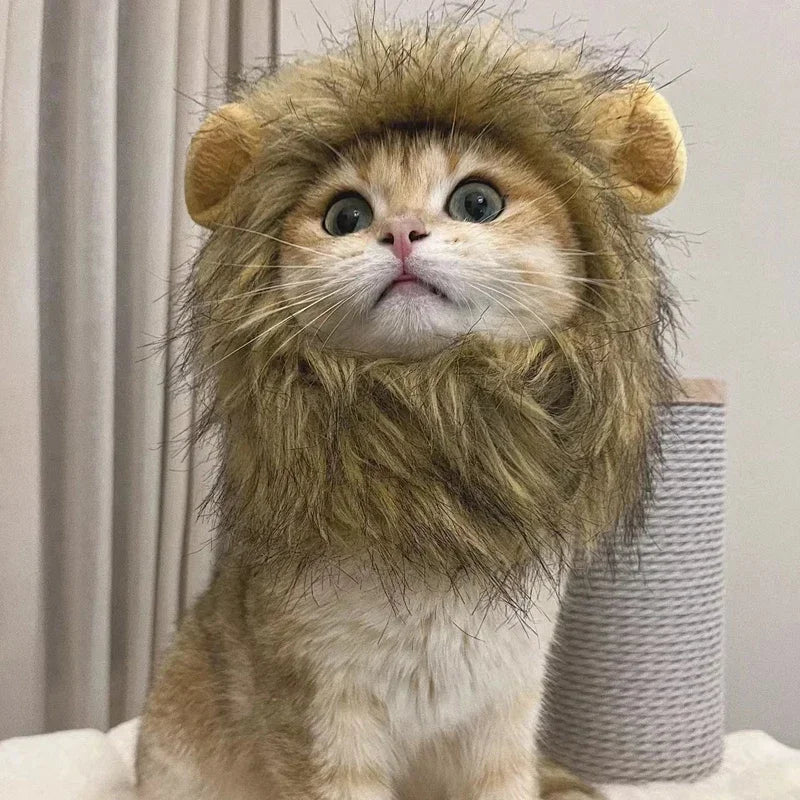 Vestiti New Cute Funny Pets Clothes Cap Cute Cat Wig Lion Mane Costume Cosplay Kitten Dog Hat with Ears Fancy Party Supplies