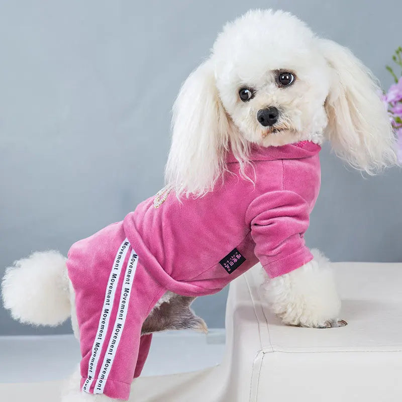 Vestiti Pet Dog Jumpsuit Spring Autumn Warm Clothing For Small Dog Clothes Velvet Pajamas Kitten Puppy Pullover Chihuahua Costume Coat