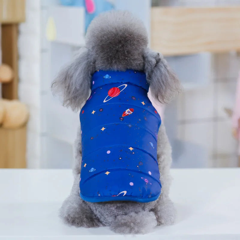 07-Abbigliamento per cani di piccola taglia.