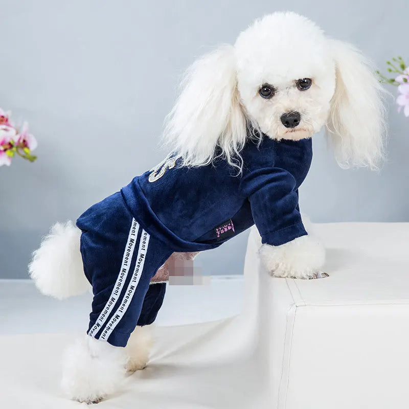 Vestiti Pet Dog Jumpsuit Spring Autumn Warm Clothing For Small Dog Clothes Velvet Pajamas Kitten Puppy Pullover Chihuahua Costume Coat