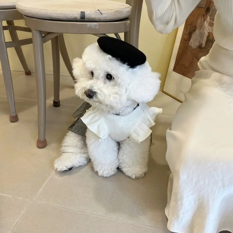 Vestiti Dog Clothes for Small Dogs Summer Dog T-Shirt Pet Dog Skirt Black White Retro Dresses Puppy Costume Chihuahua Clothing