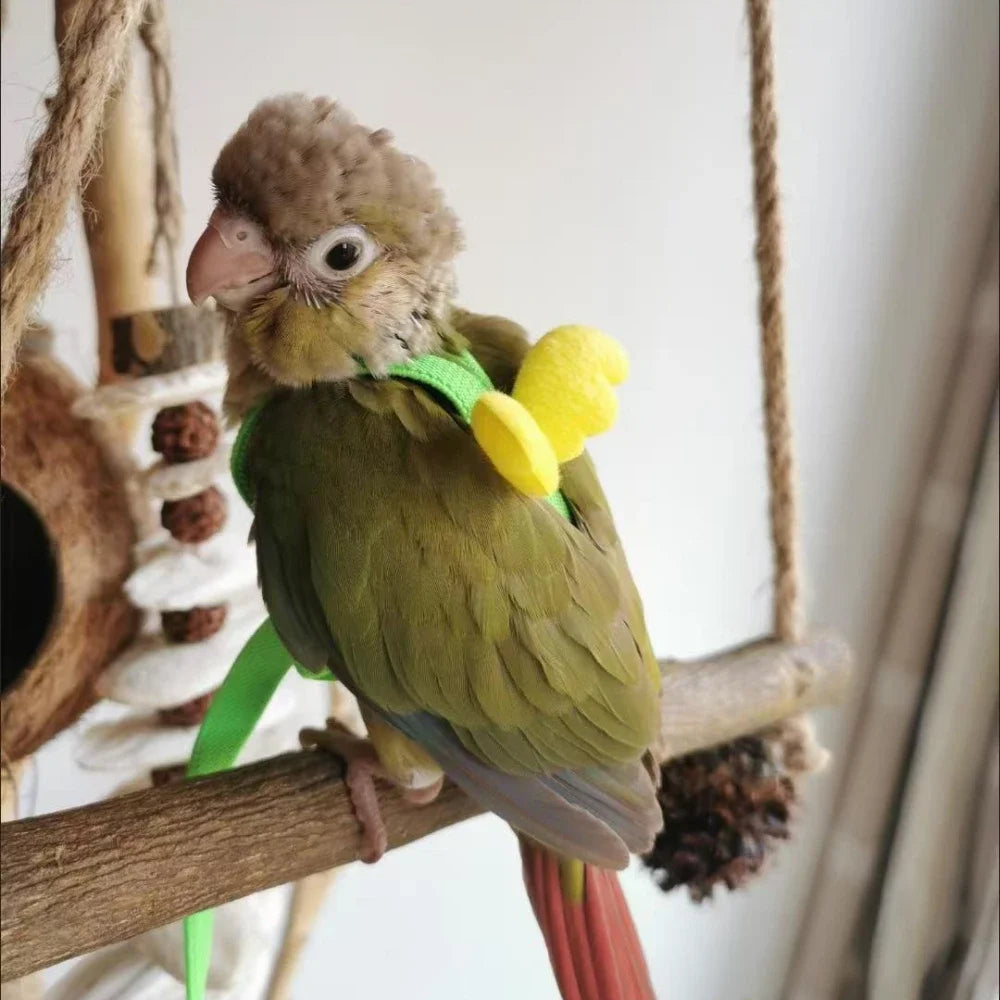 앵무새 Adjustable Parrot Bird Harness Leash Set Training Harness Parrots Outdoor Flying Rope Cockatiel Small Birds Supplie