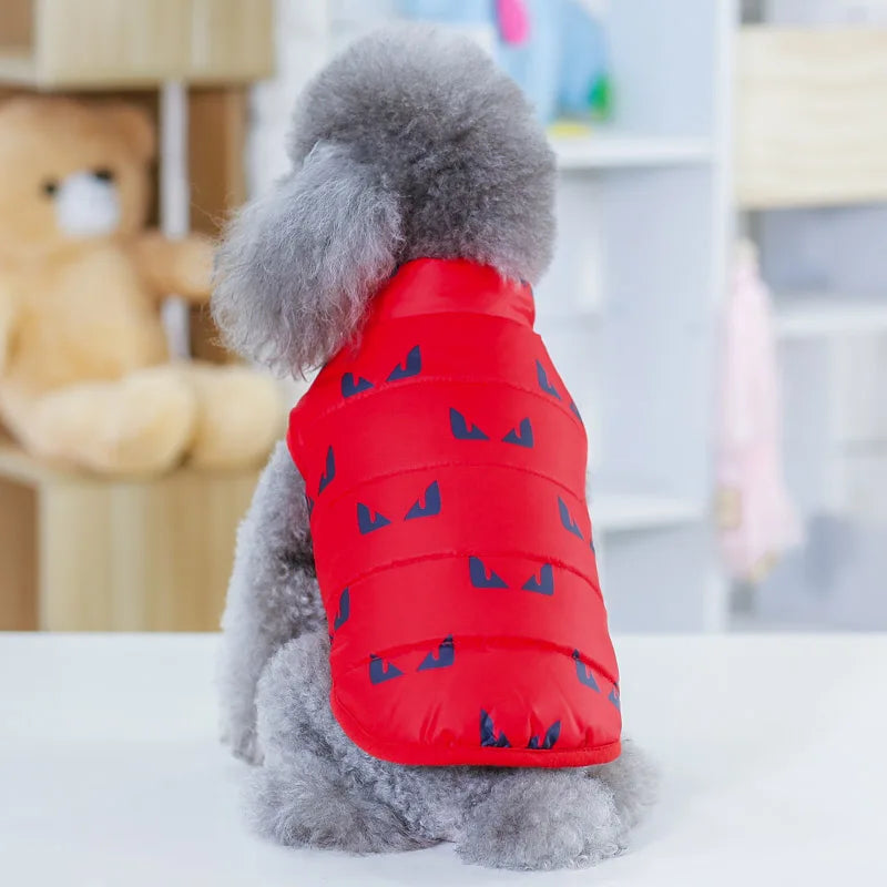 07-Abbigliamento per cani di piccola taglia.