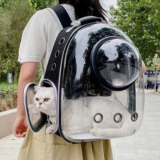 Trasportino Pet Cat Carrying Bag Space Pet Backpacks Breathable Portable Transparent Backpack Puppy Dog Transport Carrier Space Capsule Bags