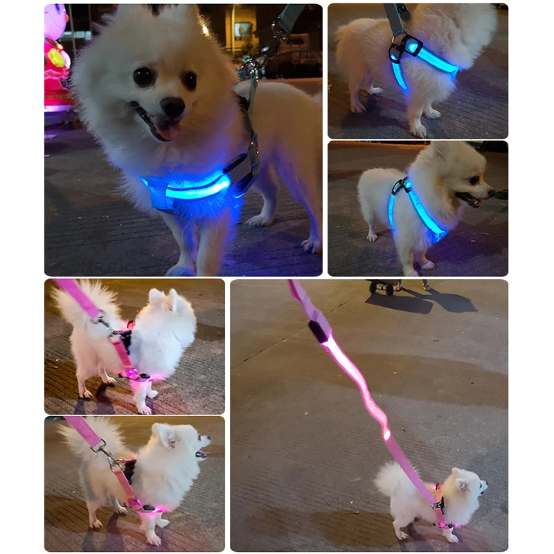 001-Imbracatura LED per cani | Pettorina sicura e luminosa - Dog Harness