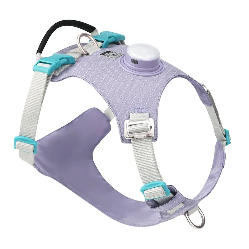 Pettorina Truelove-Pet Harness with LED Light and Tracker Holder, 19 Modes, for Dog, Cat Time, Highly Recommended for Outdoor Use, TLH6771