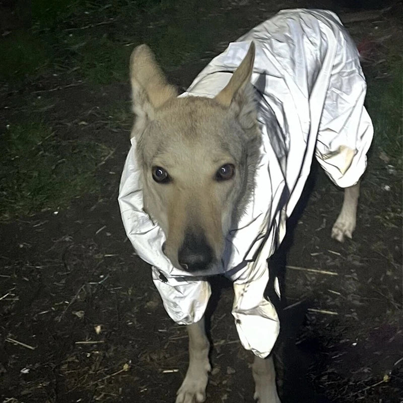 Reflective Pet Dog Jumpsuit Waterproof Raincoat Sunscreen Dog Outdoor Clothes Jacket for Small Medium Large Dog Pet Supplies
