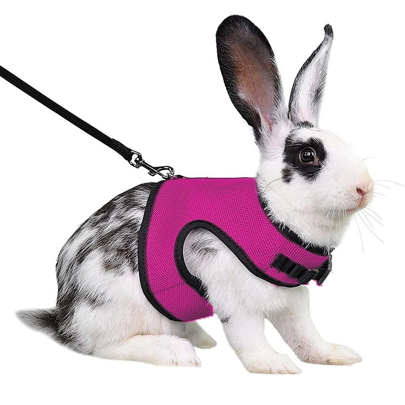 03-Imbracatura con guinzaglio Set per conigli Gilet traspirante per animali domestici.