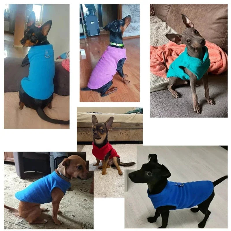 Vestiti Warm Fleece Dogs Clothes Pet Dog Jacket Vest With D-Ring For Small Dog Cats Clothing French Bulldog Costumes Chihuahua Coat