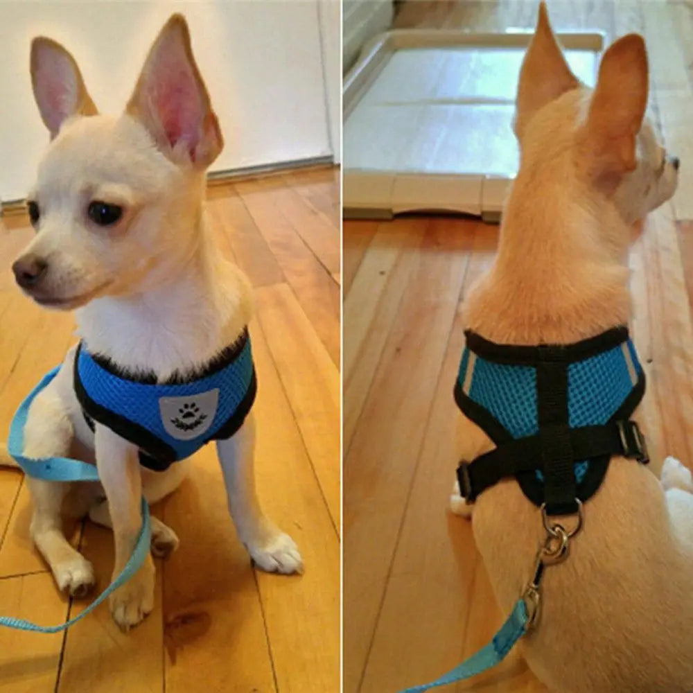 Pettorina  Mesh Fabric Dog Leash Soft Comfortable Pet Harness Puppy Cat Vest Collar Pet Supplies For Chihuahua Pug Bulldog