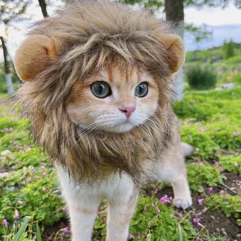 Vestiti New Cute Funny Pets Clothes Cap Cute Cat Wig Lion Mane Costume Cosplay Kitten Dog Hat with Ears Fancy Party Supplies