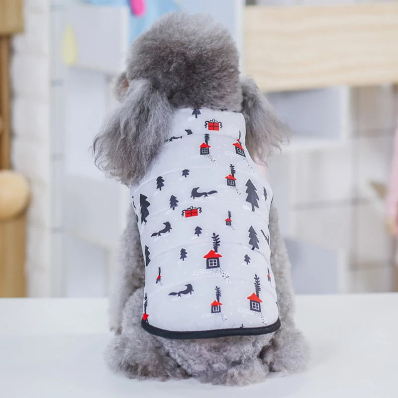 07-Abbigliamento per cani di piccola taglia.