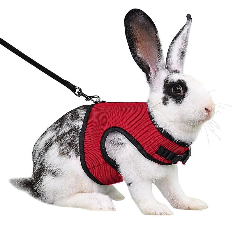 03-Imbracatura con guinzaglio Set per conigli Gilet traspirante per animali domestici.
