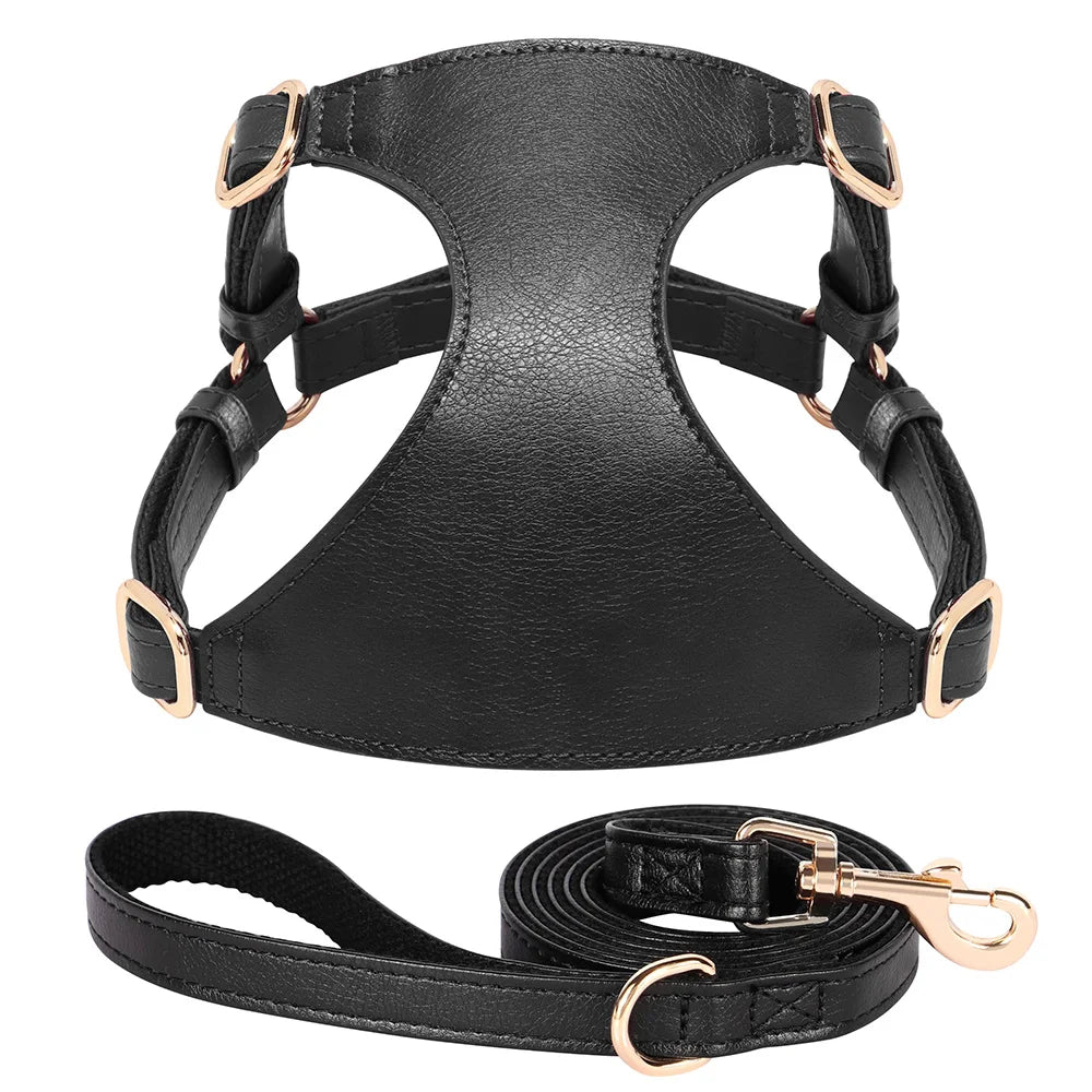 Pettorina PU Leather Dog Harness Leash Set Dog Cat Chest Strap Traction 5ft Rope Walking Vest Harness for Small Medium Dogs Pet Supplies