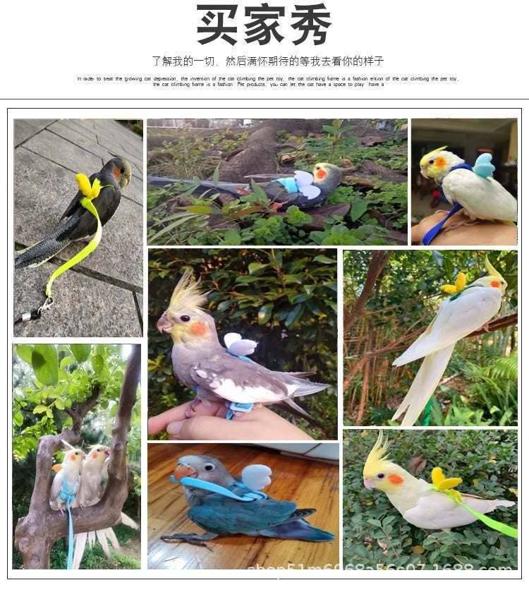 앵무새 Adjustable Parrot Bird Harness Leash Set Training Harness Parrots Outdoor Flying Rope Cockatiel Small Birds Supplie