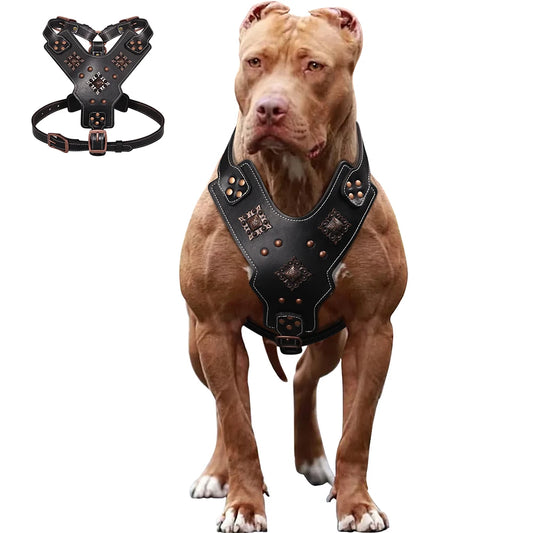 Pettorina Genuine Leather Dog Harness Durable Large Dogs Harnesses Riveted Pet Training Vest With Metal Accessories For Medium Large Dogs
