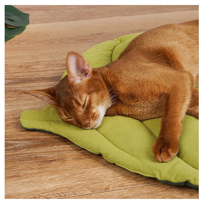 Tappetini Cat Bed Mats Soft Cotton Leaf Shaped Kitten Cat Puppy Dog Bed Mat Sleep Blanket Home Pets Double Sided  Pad Floor Rugs Washable