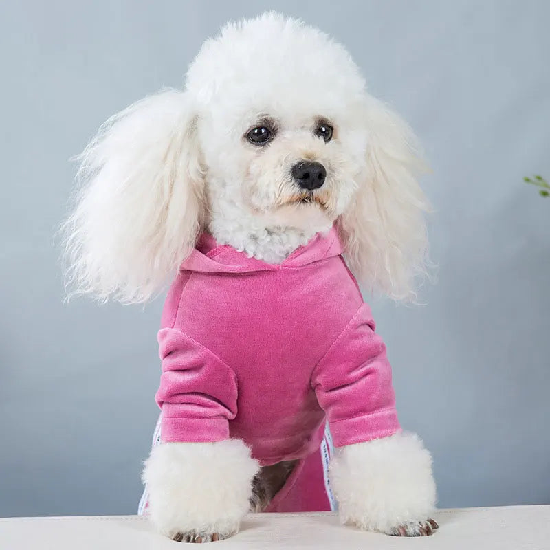 Vestiti Pet Dog Jumpsuit Spring Autumn Warm Clothing For Small Dog Clothes Velvet Pajamas Kitten Puppy Pullover Chihuahua Costume Coat