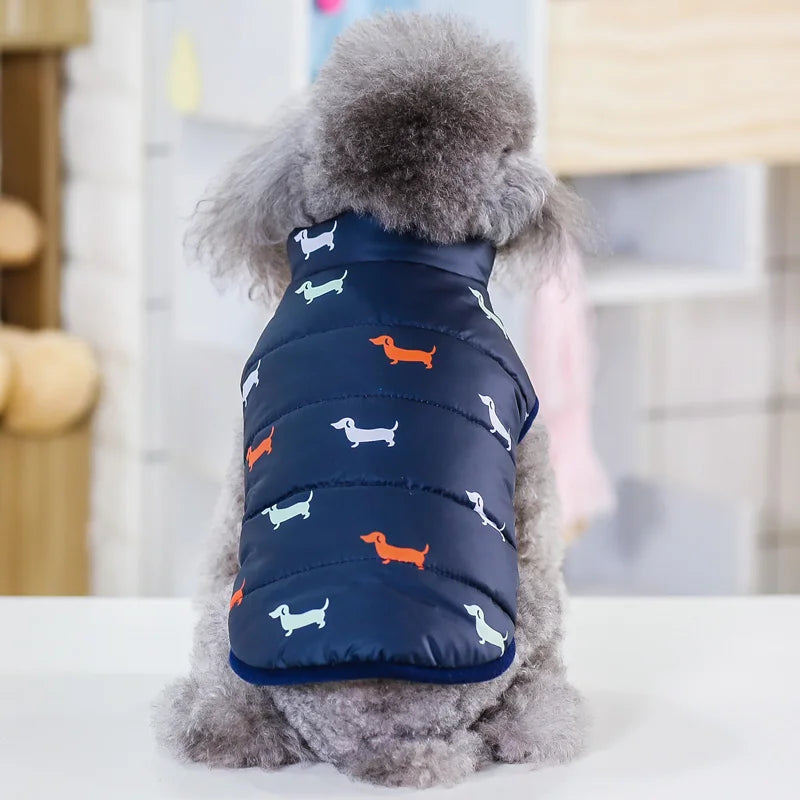 07-Abbigliamento per cani di piccola taglia.