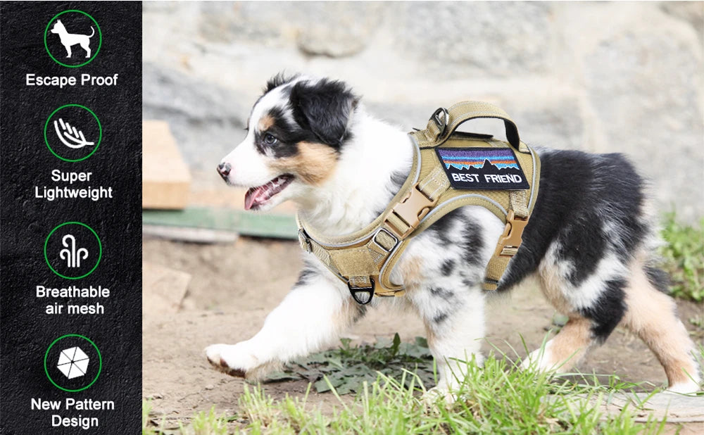 Tactical Dog Harness for Small Dogs - Military Service Dog Vest with Vertical Handle and Reflective Vest for Outdoor Training