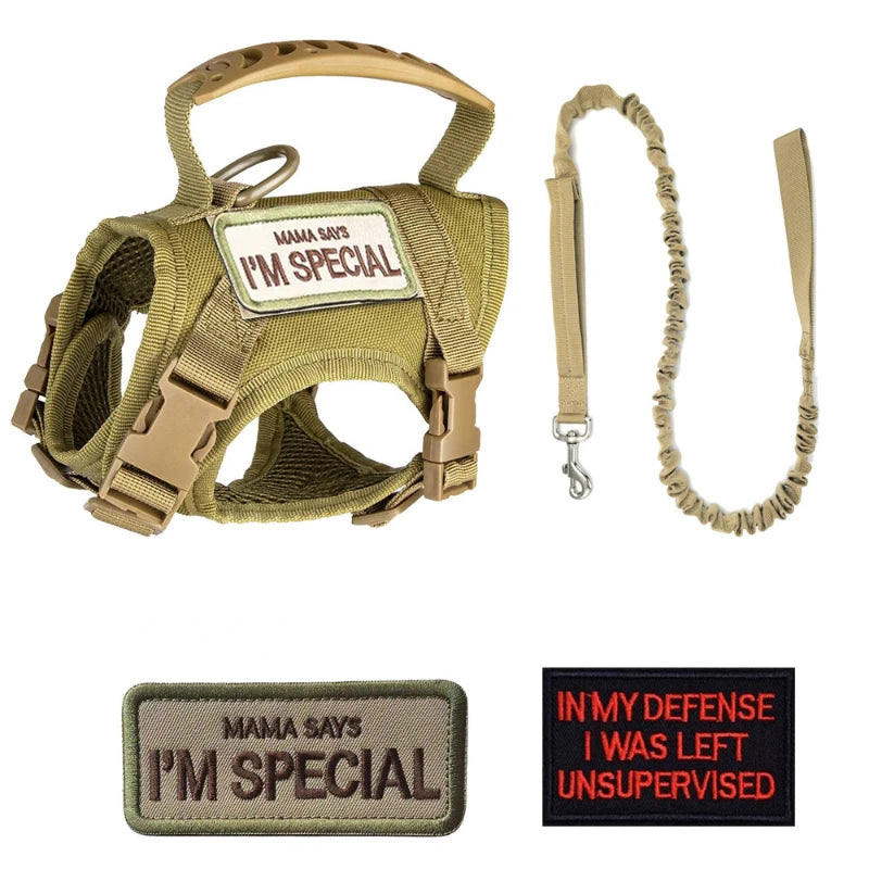 Tactical Harness Vest Dog Harness Leash Set for Small Dogs Training Easy Control Vest Pet Chest Strap Accessories for Puppy Cat