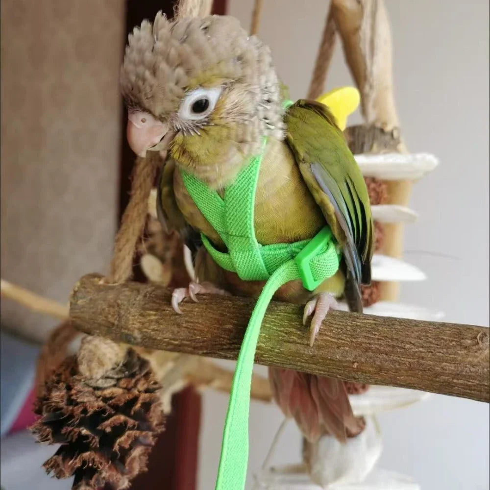 앵무새 Adjustable Parrot Bird Harness Leash Set Training Harness Parrots Outdoor Flying Rope Cockatiel Small Birds Supplie