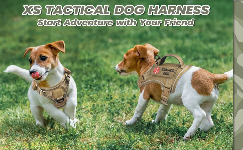 Tactical Dog Harness for Small Dogs - Military Service Dog Vest with Vertical Handle and Reflective Vest for Outdoor Training