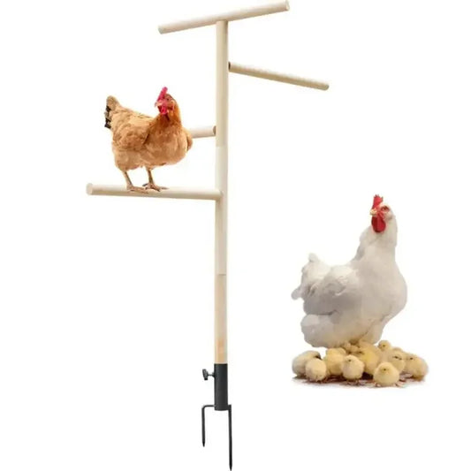 Posatoio Chicken Standing Perch Outdoor Poultry Chicken Stand Perch Toy Playground Birds Training Branch Perch with Ground Plug For