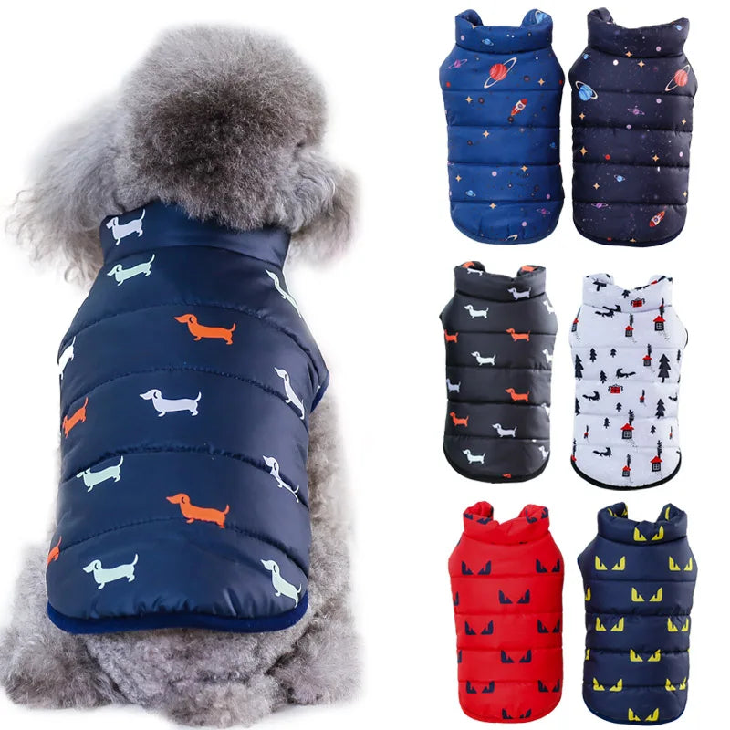 07-Abbigliamento per cani di piccola taglia.