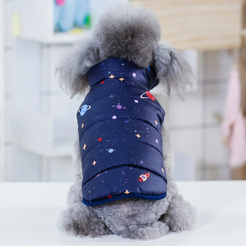 07-Abbigliamento per cani di piccola taglia.