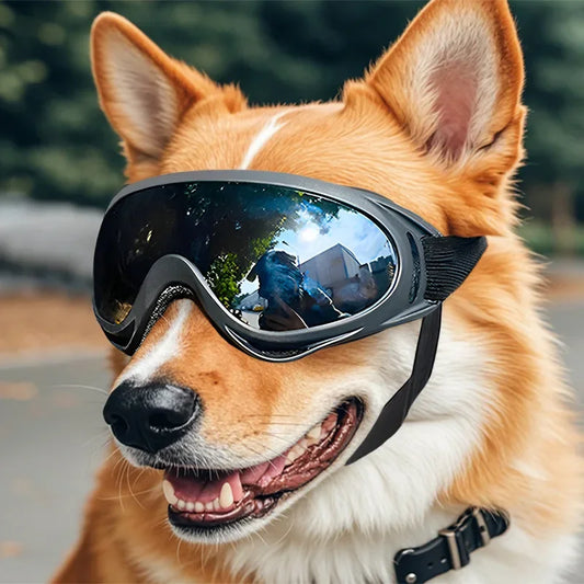 04a-Dog Vision PRO – Occhiali da Sole Anti-UV per Cani Leggendari