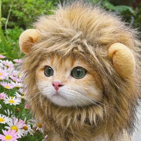 Vestiti New Cute Funny Pets Clothes Cap Cute Cat Wig Lion Mane Costume Cosplay Kitten Dog Hat with Ears Fancy Party Supplies