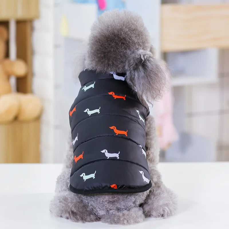 07-Abbigliamento per cani di piccola taglia.