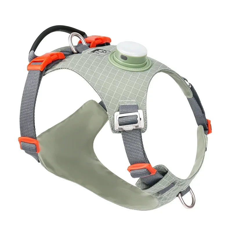 Pettorina Truelove-Pet Harness with LED Light and Tracker Holder, 19 Modes, for Dog, Cat Time, Highly Recommended for Outdoor Use, TLH6771