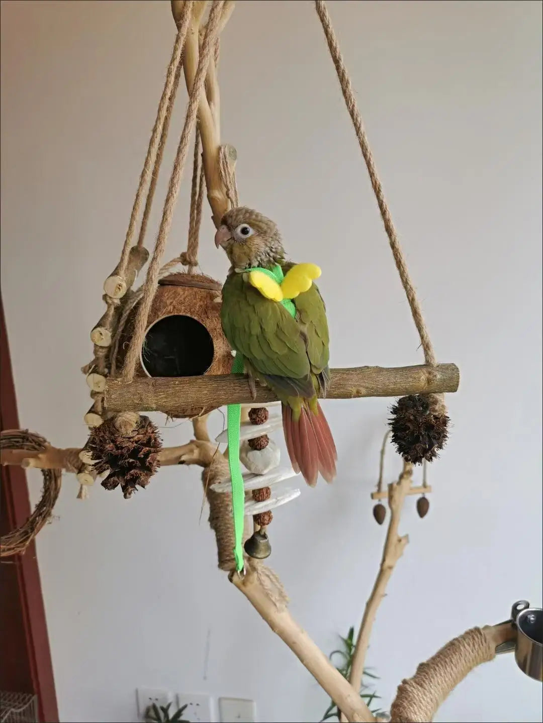 앵무새 Adjustable Parrot Bird Harness Leash Set Training Harness Parrots Outdoor Flying Rope Cockatiel Small Birds Supplie