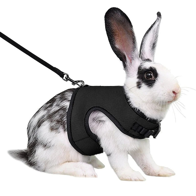 03-Imbracatura con guinzaglio Set per conigli Gilet traspirante per animali domestici.