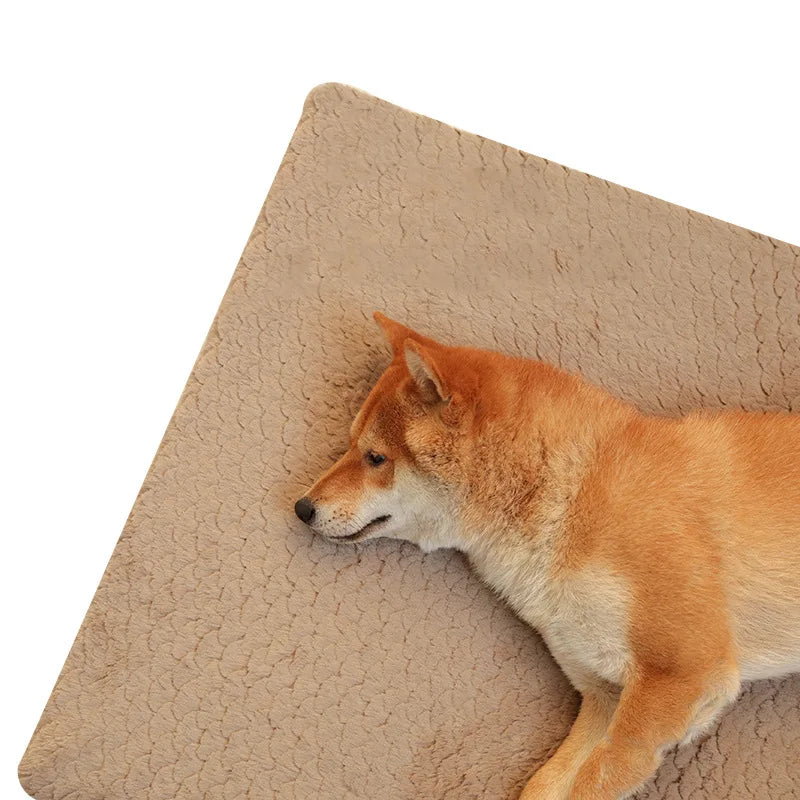 Tappetino Pet Dog Mat Cushion Big Puppy Wear resistant Waterproof Mat House Medium Large Bed Dog Padding Accessories Supplies Sofa Carpet