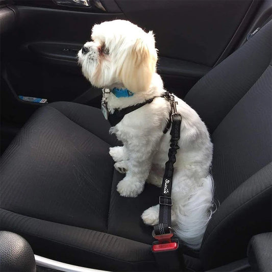 001-Cintura di Sicurezza per Cani – Guinzaglio Regolabile