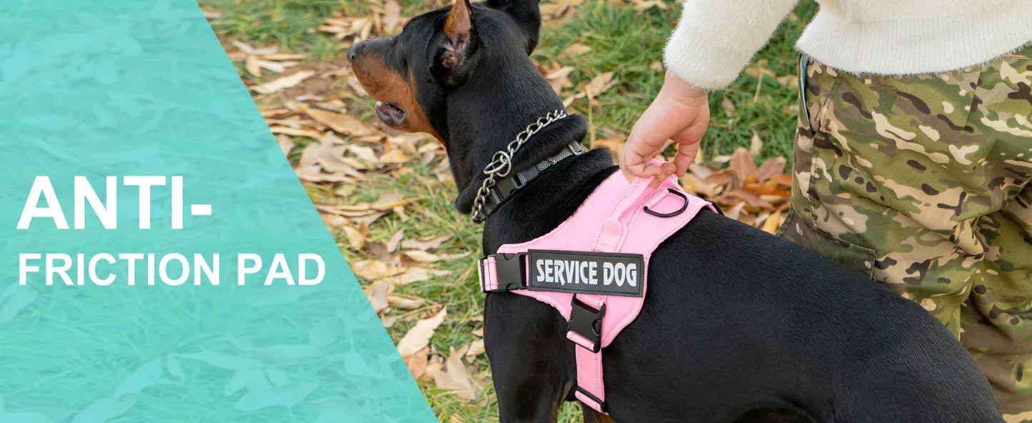 Pettorina dog harness custom name tag doberman pinscher breathable adjustable pet harness suitable for medium and large dogs